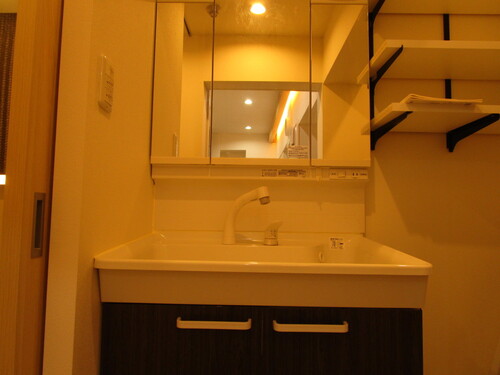 シャワー付き洗面化粧台