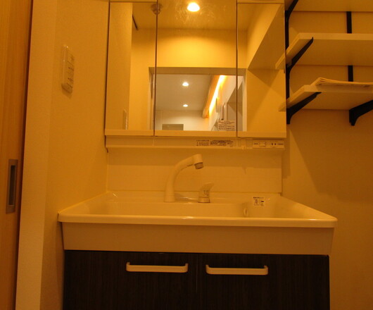 シャワー付き洗面化粧台