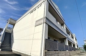 ドミール・レイ