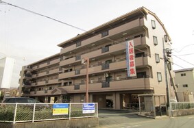 ティアラ神立