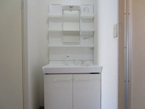 シャンプードレッサー