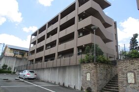 シーダーナイン