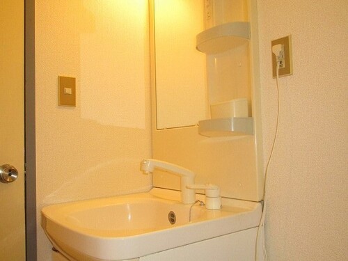 シャンプードレッサー