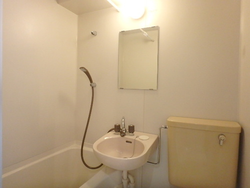 洗面所(浴室内)