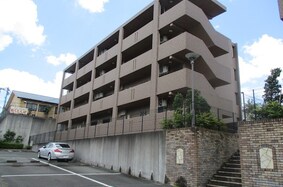 シーダーイースト