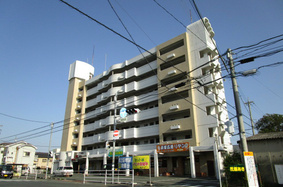 ルナ・ルピナス